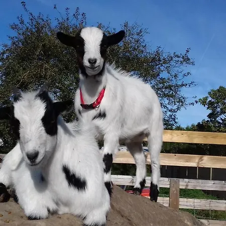 Etennemare Saint-Valery-en-Caux